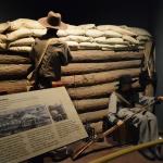 OTRA2014_0972 (September 01, 2014)